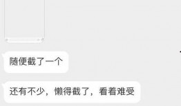 韩娱吃瓜视频大全下载免费,免费下载，揭秘娱乐圈幕后故事
